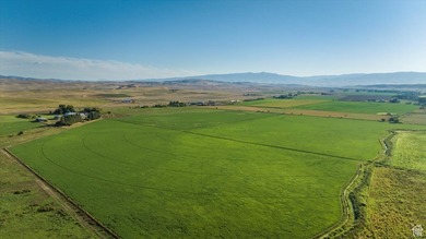 Discover an exceptional opportunity to own 1,265 acres of highly - photo 6