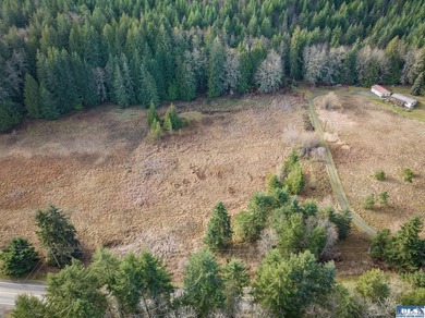 A gem in Sequim! There's a reason this parcel feels like a - photo 37