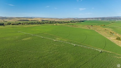 Discover an exceptional opportunity to own 1,265 acres of highly - photo 7
