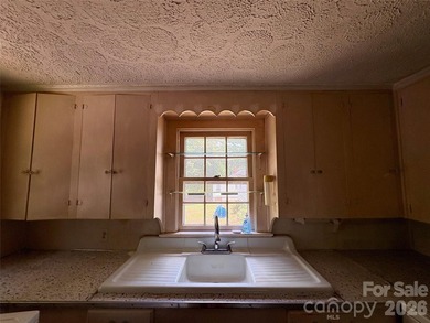 Just hit the market and has SO much potential! Come live, work - photo 9