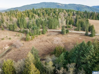 A gem in Sequim! There's a reason this parcel feels like a - photo 39