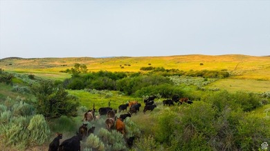 Discover an exceptional opportunity to own 1,265 acres of highly - photo 9