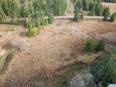 A gem in Sequim! There's a reason this parcel feels like a - photo 40