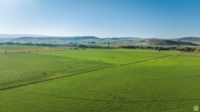 Discover an exceptional opportunity to own 1,265 acres of highly - photo 10