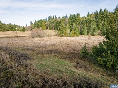 A gem in Sequim! There's a reason this parcel feels like a - photo 42