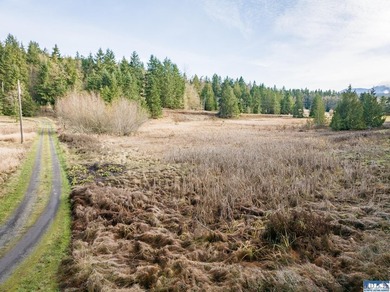 A gem in Sequim! There's a reason this parcel feels like a - photo 44