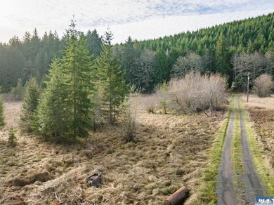 A gem in Sequim! There's a reason this parcel feels like a - photo 45