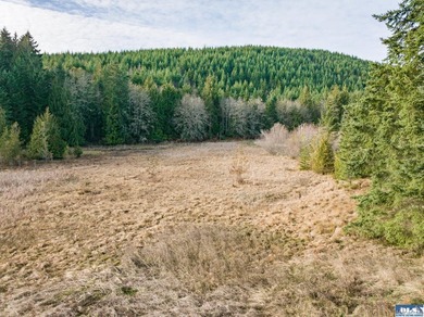 A gem in Sequim! There's a reason this parcel feels like a - photo 46