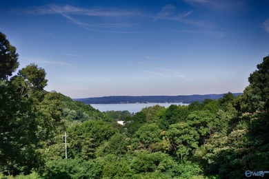 Ridgetop long views in Downtown Guntersville. Never miss a - photo 47