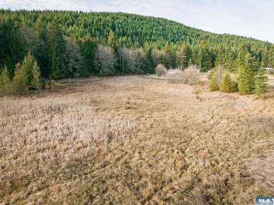 A gem in Sequim! There's a reason this parcel feels like a - photo 47
