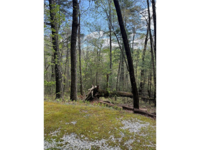 Lake Lot For Sale in Sapphire, North Carolina