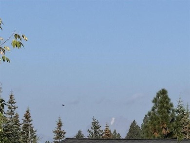 Bailey Creek Lot with Mount Lassen Views! Nestled on a - photo 3