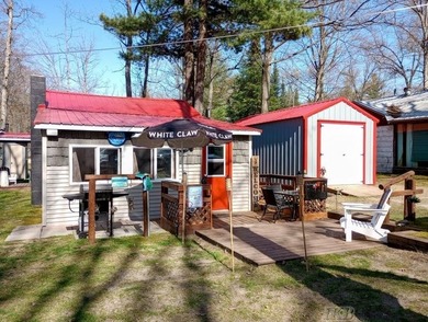 Grass Lake - Gladwin County Home For Sale in Gladwin Michigan