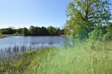 Pretty acreage with a little over 1300 feet m/l of Highway 99 - photo 3