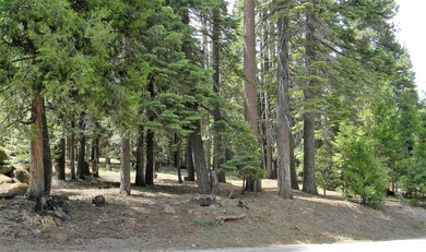 Beautiful view from this elevated lot within walking distance to - photo 1