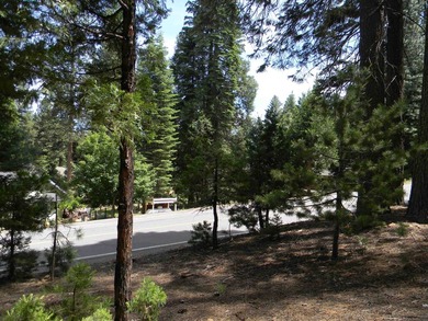 Beautiful view from this elevated lot within walking distance to - photo 3