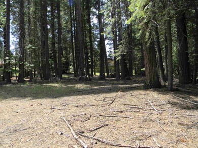 Beautiful view from this elevated lot within walking distance to - photo 4