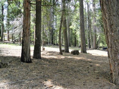 Beautiful view from this elevated lot within walking distance to - photo 5