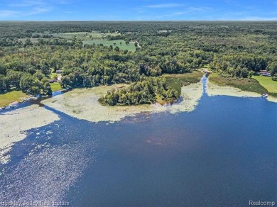 Cedar Lake - Livingston County Acreage For Sale in Howell Michigan