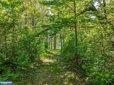 Private 6+ Acre Retreat at Giants Ridge, tucked into the woods - photo 12