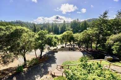 Beautifully updated custom home with breathtaking valley and - photo 15