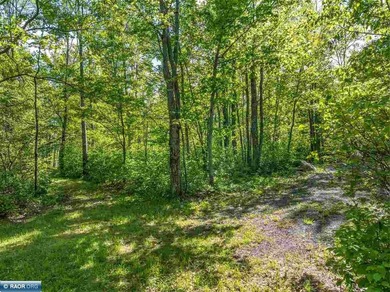 Private 6+ Acre Retreat at Giants Ridge, tucked into the woods - photo 15