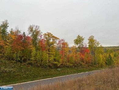 Private 6+ Acre Retreat at Giants Ridge, tucked into the woods - photo 16