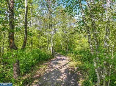 Private 6+ Acre Retreat at Giants Ridge, tucked into the woods - photo 17