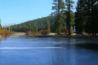 WELCOME TO THE LOST SIERRA RANCH AND DISCOVER YOUR VERY OWN - photo 18
