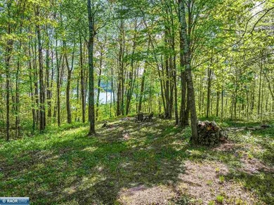 Private 6+ Acre Retreat at Giants Ridge, tucked into the woods - photo 18