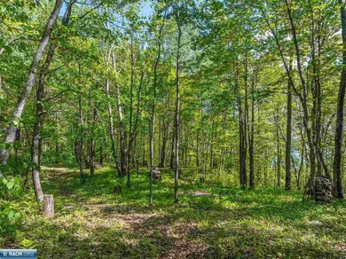 Private 6+ Acre Retreat at Giants Ridge, tucked into the woods - photo 21