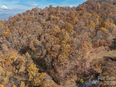 Discover a rare opportunity to build your dream mountain estate - photo 4