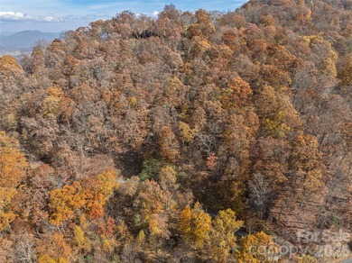 Discover a rare opportunity to build your dream mountain estate - photo 6