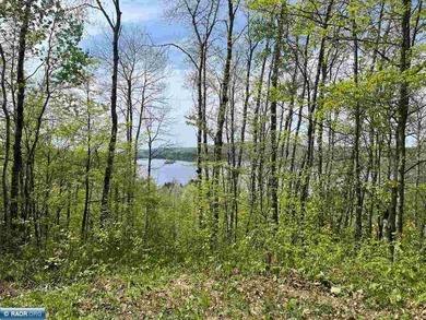 Private 6+ Acre Retreat at Giants Ridge, tucked into the woods - photo 26