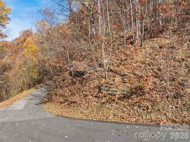 Discover a rare opportunity to build your dream mountain estate - photo 7