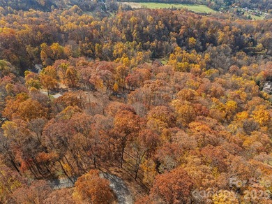 Discover a rare opportunity to build your dream mountain estate - photo 8