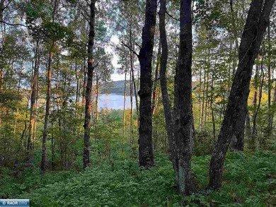 Private 6+ Acre Retreat at Giants Ridge, tucked into the woods - photo 28