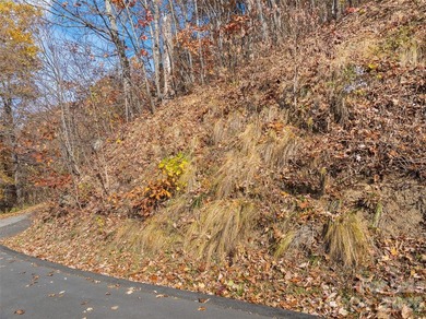 Discover a rare opportunity to build your dream mountain estate - photo 9