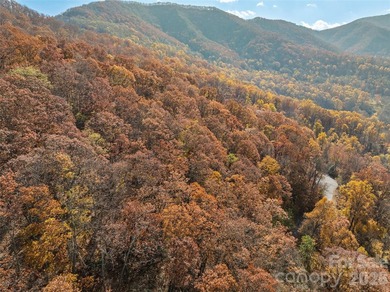 Discover a rare opportunity to build your dream mountain estate - photo 10