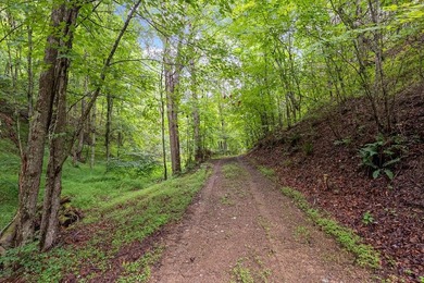 Access the peace and quite, just outside of Marion, VA. 39+ - photo 10