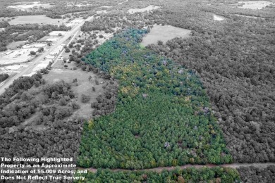 Lake Acreage For Sale in Palestine, Texas