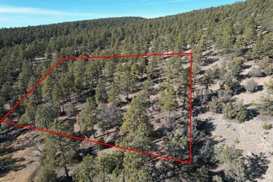 Lake Acreage For Sale in Tierra Amarilla, New Mexico