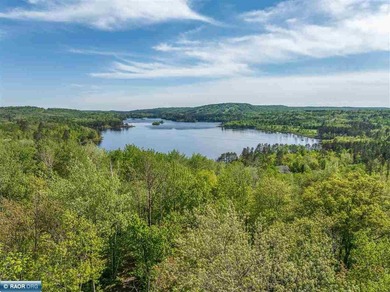 Private 6+ Acre Retreat at Giants Ridge, tucked into the woods - photo 32