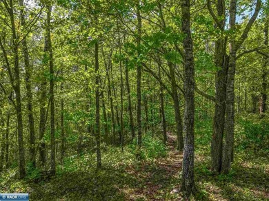 Private 6+ Acre Retreat at Giants Ridge, tucked into the woods - photo 39