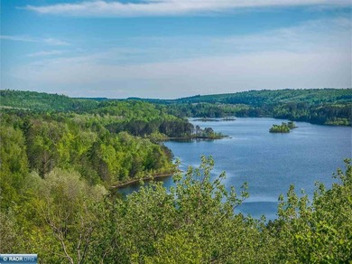 Private 6+ Acre Retreat at Giants Ridge, tucked into the woods - photo 40