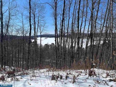 Private 6+ Acre Retreat at Giants Ridge, tucked into the woods - photo 41