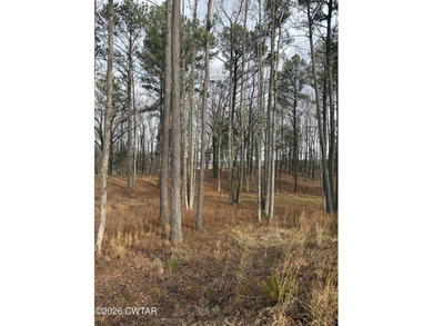 Huntingdon, TN! 5 acres of waterfront in Sterling Shores on Lake - photo 2
