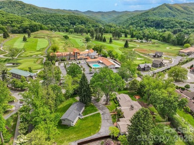 A rare find in the heart of Waynesville, this updated historic - photo 3