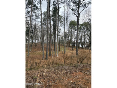 Huntingdon, TN! 5 acres of waterfront in Sterling Shores on Lake - photo 3