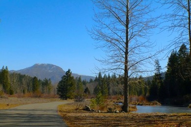 WELCOME TO THE LOST SIERRA RANCH AND DISCOVER YOUR VERY OWN - photo 49
